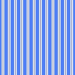 Nautical Stripe - Blue