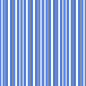 Nautical Stripe - Blue Small