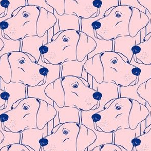 Weimaraner Portrait Pattern (Pink and Blue) – Small Scale