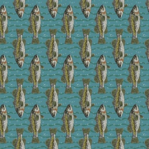 Largemouth Bass on teal tea towel