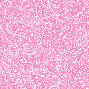 large Paisley Positivity pink white