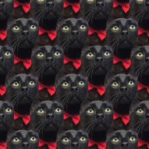 Black Cat Tesselation
