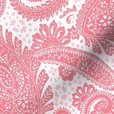 large Paisley Positivity red pink