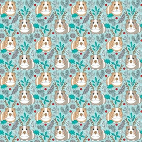 tiny reindeer guinea pigs with winter foliage on soft blue