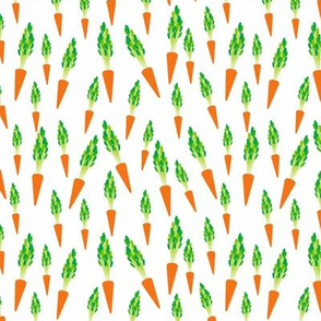 orange carrots with green leaves, isolated on white background trend of the season. 