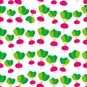 pink radish with green leaves, on white background trend of the season