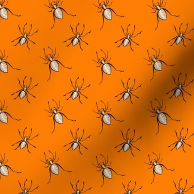 Orange insects for Halloween