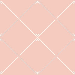 Lovely Trellis: Shell Pink & White Latticework