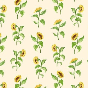 Sunflowers. beige