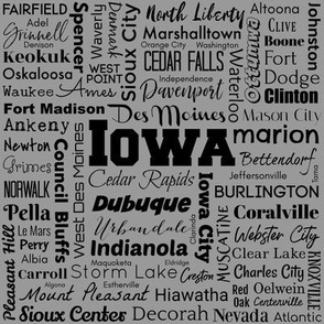 Iowa Cities,  gray