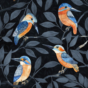 Kingfisher  pattern  with dark background big scale