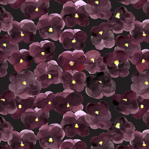 Violets plum color