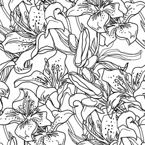 Outline flowers Lily