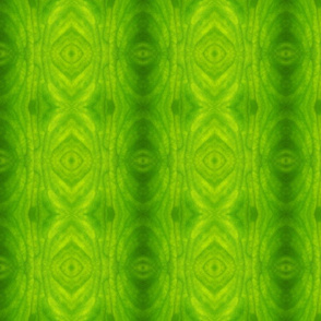 Taro leaves symmetrical Abstract Green