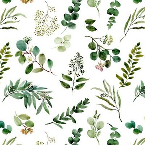 Eucalyptus Greenery // White
