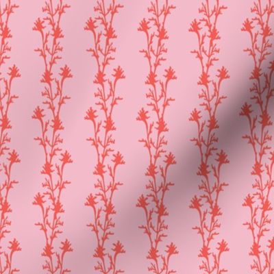 Seaweed Nouveau- Vines- Coral on Cotton Candy- Small Scale