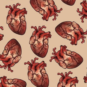 Human anatomy Heart on Mustard, XL