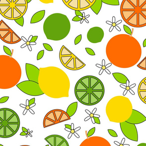 Citrus Pop- Orange Lemon Lime-  Colorful on White- Large Scale