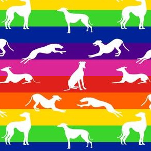 Greyt_Greyhound_Jumble_rainbow_Horizontal_White