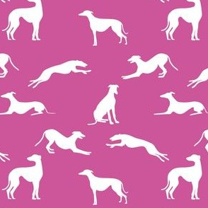 Greyt_Greyhound_Silhouettes_White_on_CC5699