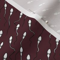 Sperm journey in burgundy