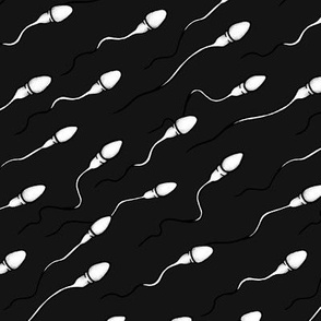 Sperm where Ova the Rainbow in black, extra large