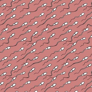 Sperm journey in pink