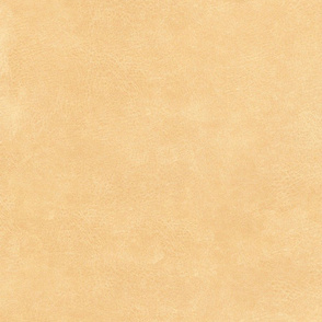 Gold Buff Western Leather Texture