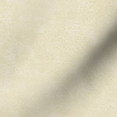 Eggshell Western Leather Texture