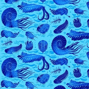 Cambrian sea animals: Trilobites, Anomalocaris and others