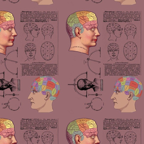 Phrenology Dream Mauve Antique Medical Equipment Psychology Pseudoscience Toss Fabric