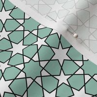 10562189 : U865E21 perfect5 : spoonflower0099