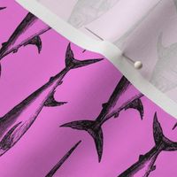 swordfish on pink