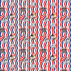 patriotic sphynx stripe small