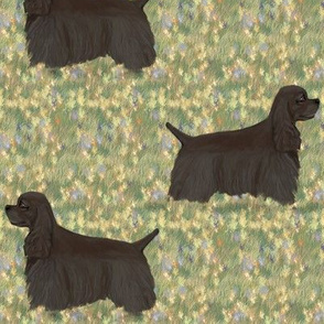 Black American Cocker Spaniel in Wildflower Field