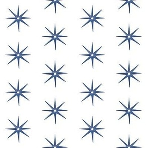 Navy AND White STARS