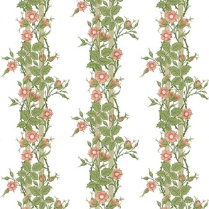 Rambler ~ The William Morris Collection ~  White and Bright  