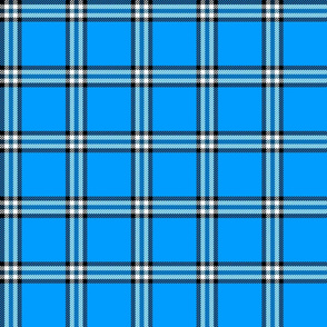 checked plaid blue