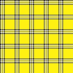 checked plaid yellow  ( clueless )