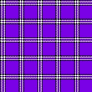 checked plaid purple