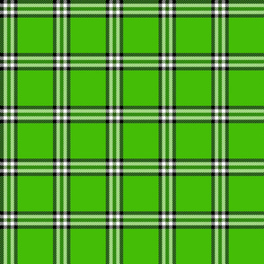 checked plaid green