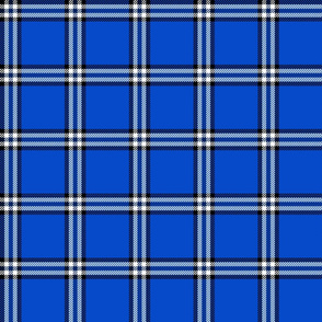 checked plaid royal