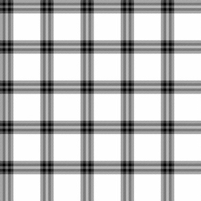 checked plaid white