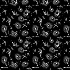 smaller dandelions fabric white on black