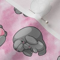 Manatee Pink