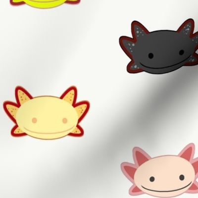 Types of axolotl