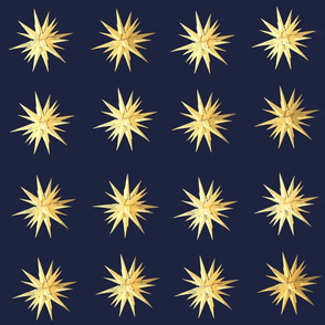 Moravian Star (Navy/Gold)