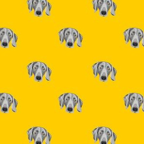 Weim Polka (mustard)