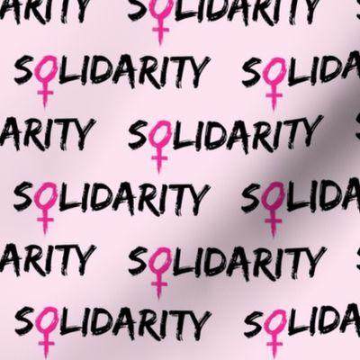 Solidarity Feminist on Pink