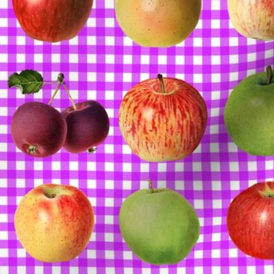 Apples on magenta gingham